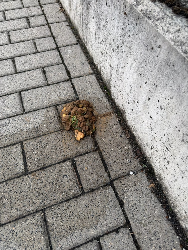 Giftköder-Evtl Giftköder am Krankenhaus-Profilbild