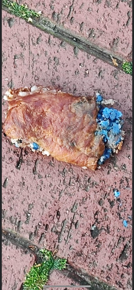 Giftköder-Giftköder-Profilbild