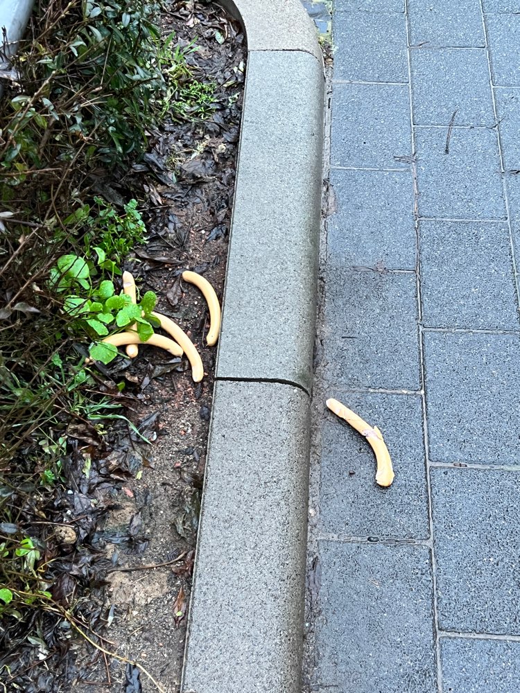 Giftköder-Essensreste-Profilbild