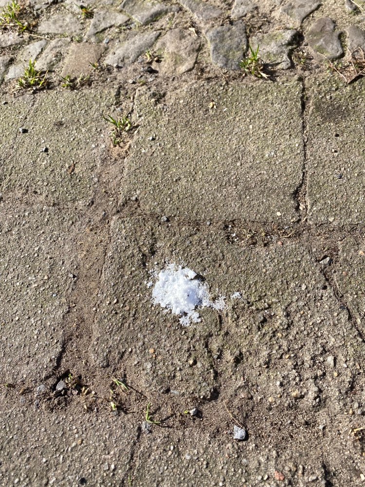 Giftköder-Weißes Pulver-Profilbild