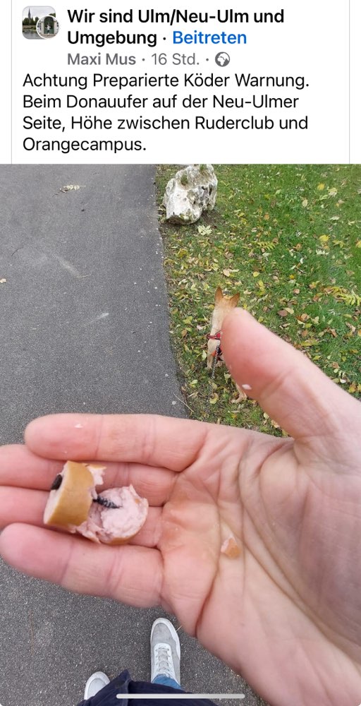 Giftköder-Wurststücke mit Nägel und Schrauben-Profilbild