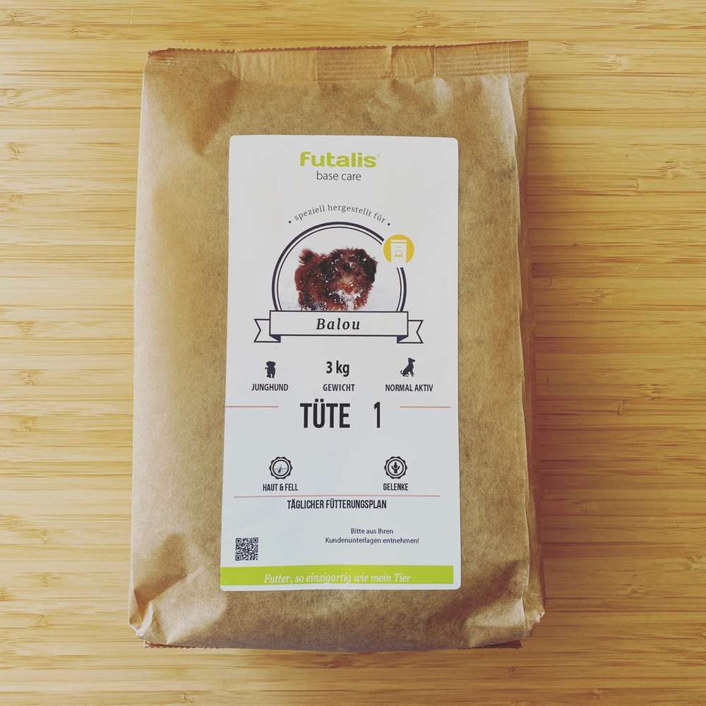 Ideales Trockenfutter für einen Bolonka Zwetna Ernährung Hundeforum von Dogorama Dogorama