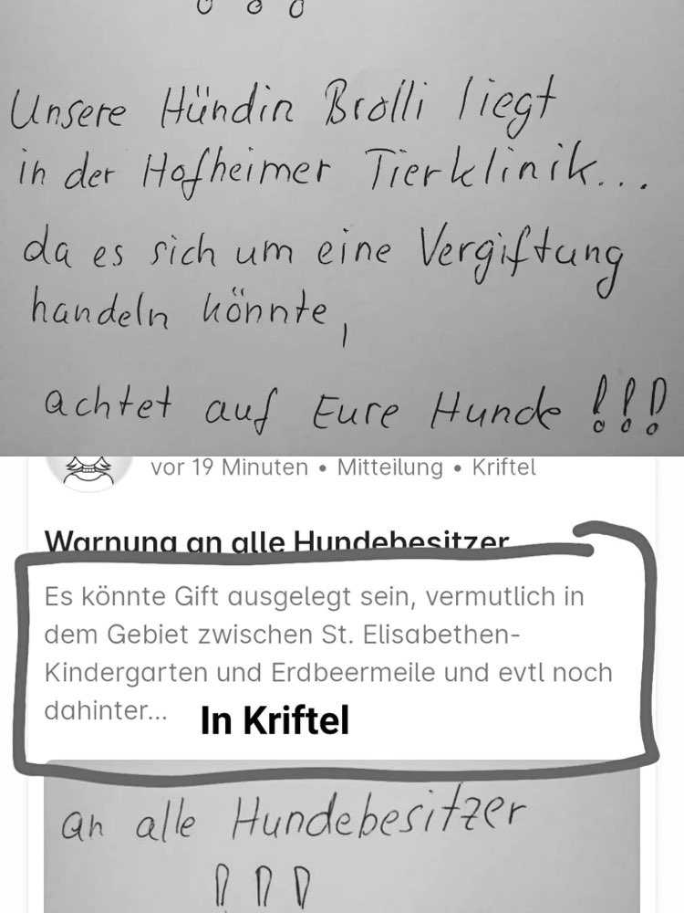 Giftköder-Giftköder-Profilbild