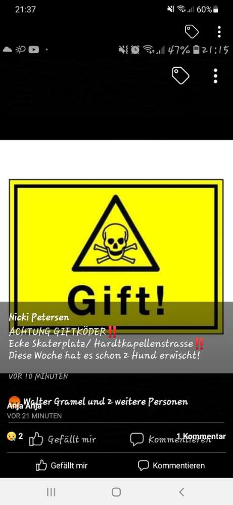 Giftköder-Giftköder-Profilbild