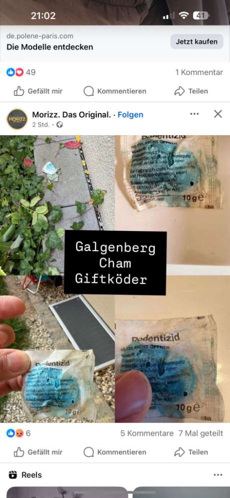 Giftköder-Verdacht auf Giftköder-Profilbild