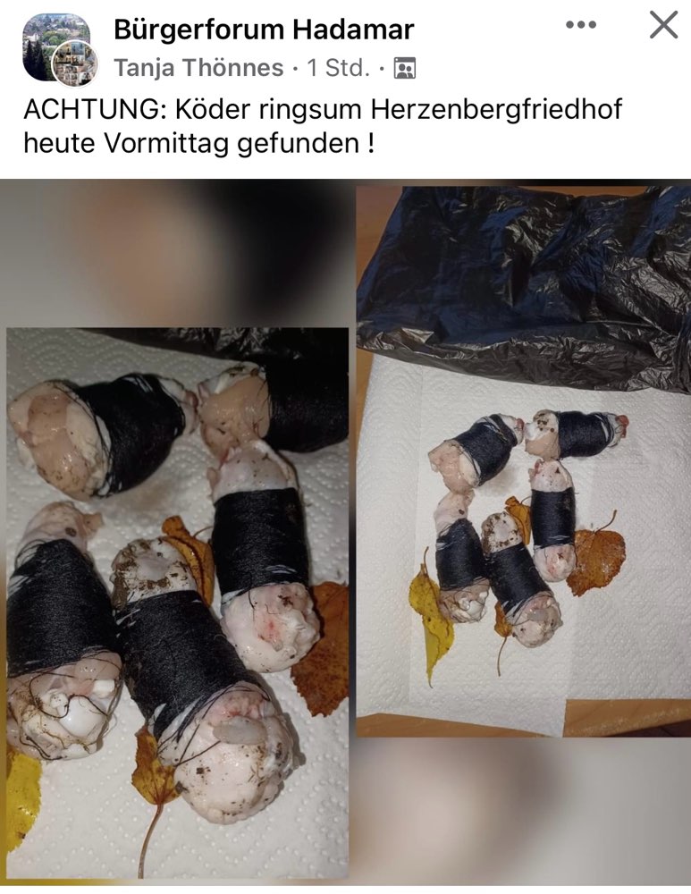 Giftköder-Köder um den Herzenberg Friedhof-Profilbild