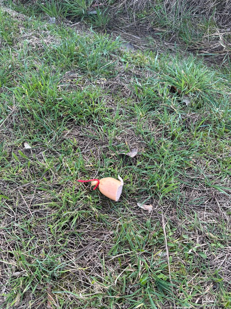 Giftköder-Eventuell Giftköder-Profilbild