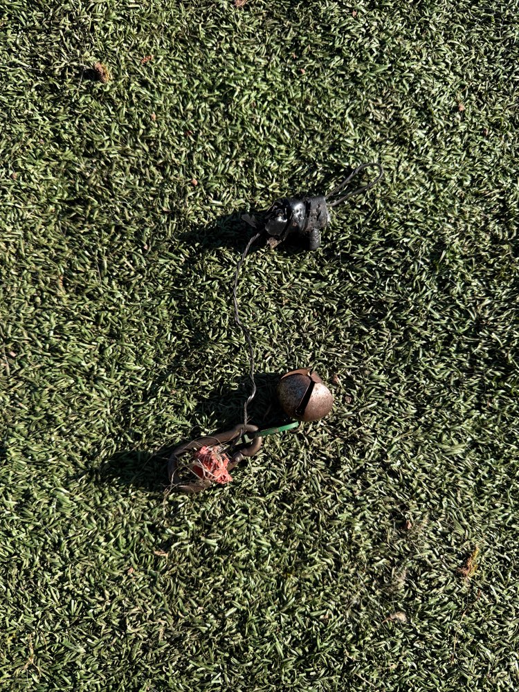 Giftköder-Fallen-Profilbild