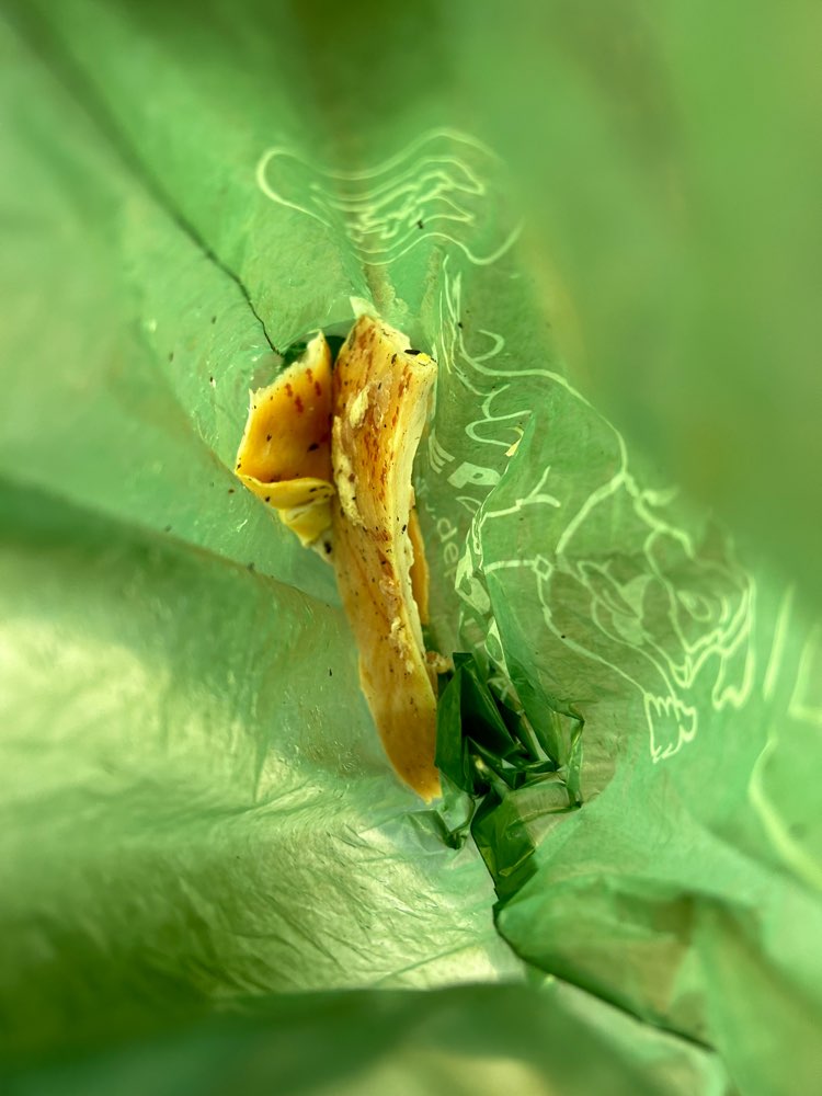 Giftköder-Fleischreste Schinken-Profilbild