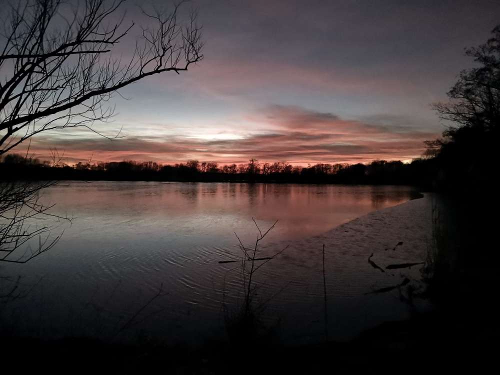 Hundetreffen-Gassi- und Spielrunden um die Teichlandschaft bei Pließkowitz-Profilbild
