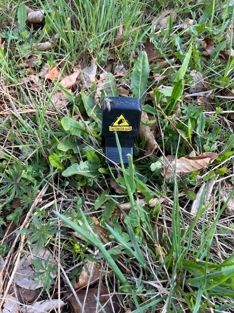 Giftköder-Rattenfalle-Profilbild