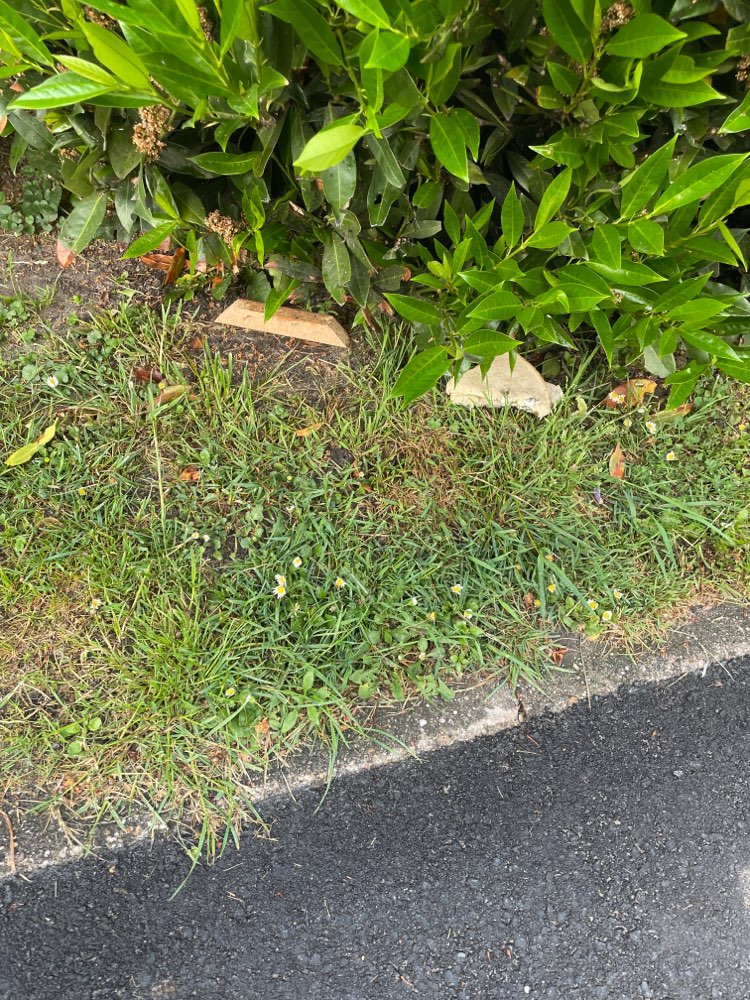 Giftköder-Giftköder-Profilbild