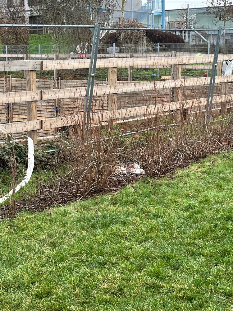 Giftköder-Tierkadaver-Profilbild