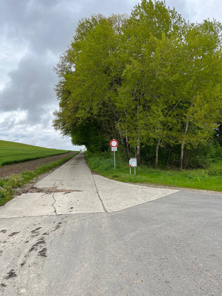 Giftköder-Würstchen mit Nadeln-Profilbild