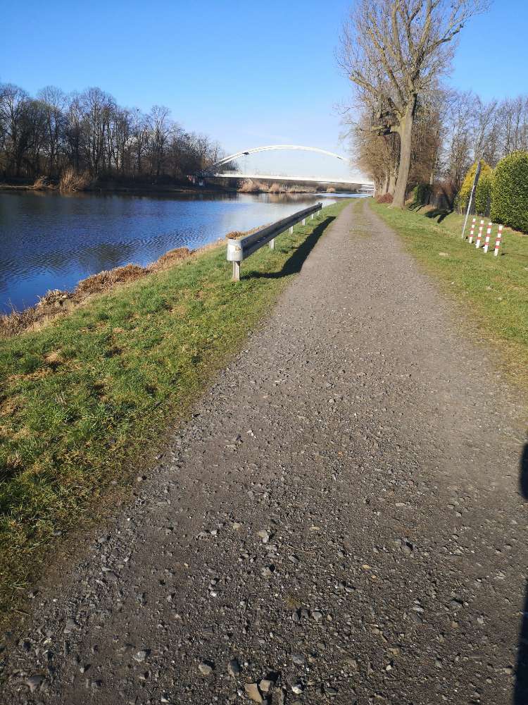 Giftköder-Totes Wildschweinbaby-Profilbild