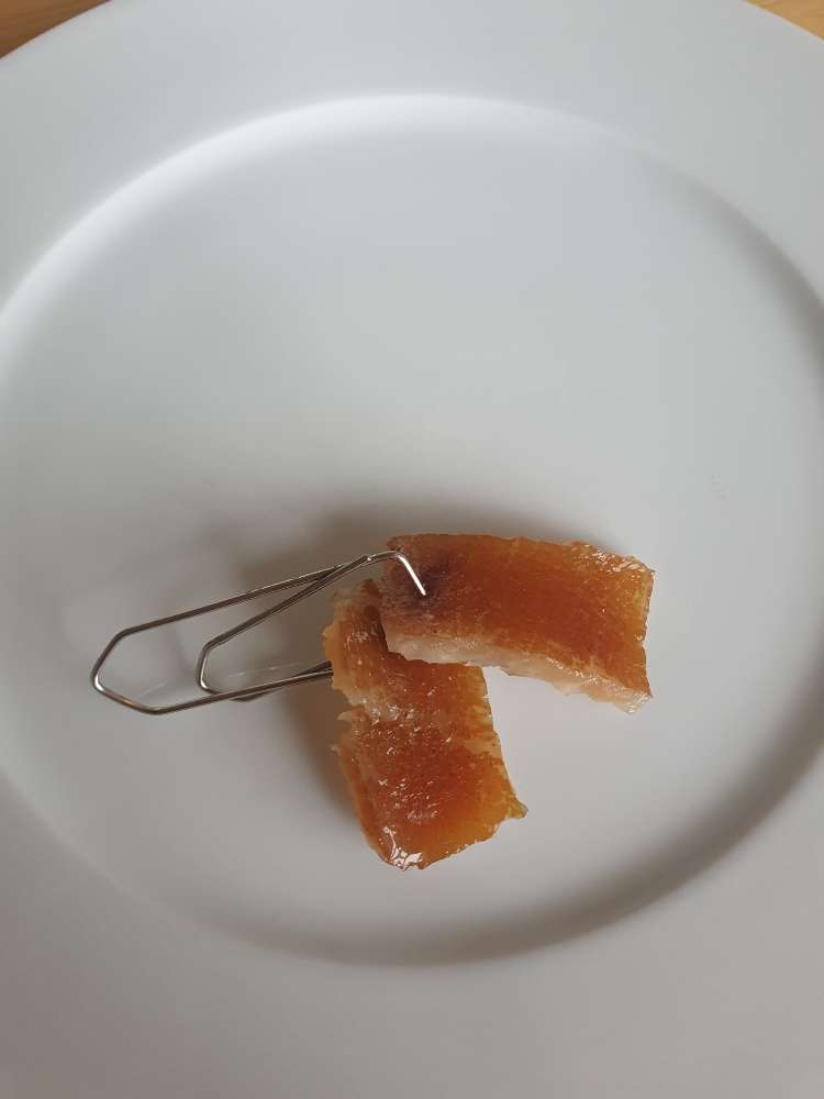 Giftköder-Köder (Fleisch an Büroklammer)-Profilbild