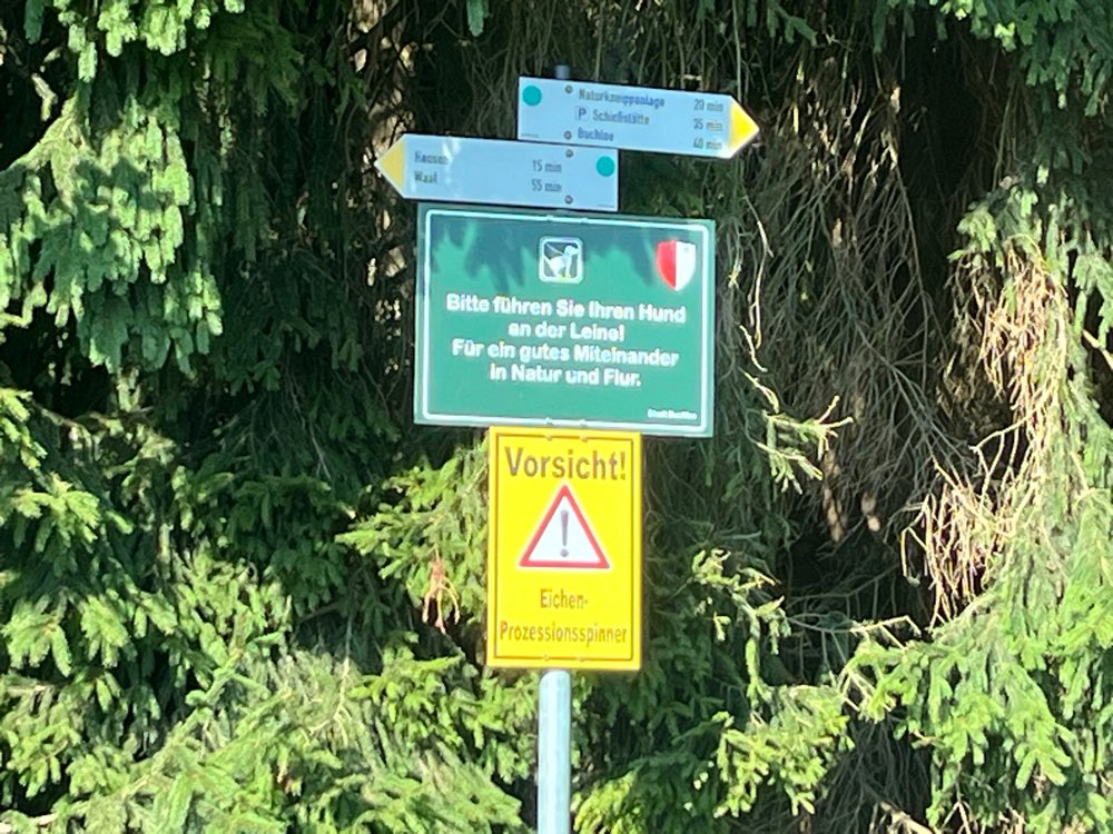 Giftköder-Eichenprozessionsspinner-Profilbild