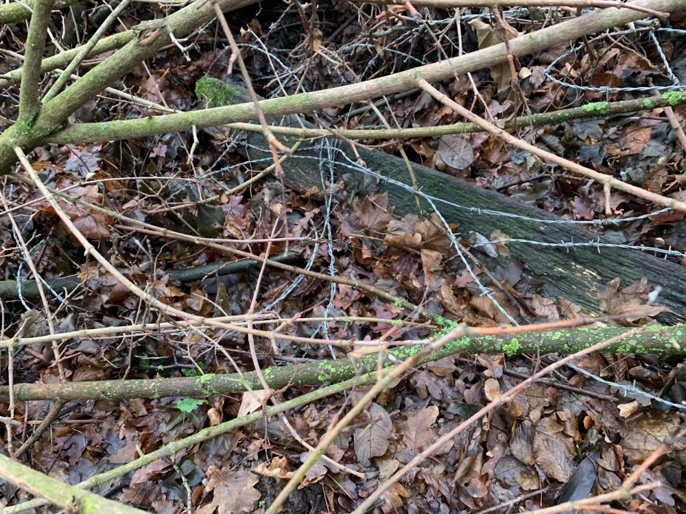 Giftköder-Lose Stacheldrahtreste am Feldrand-Profilbild