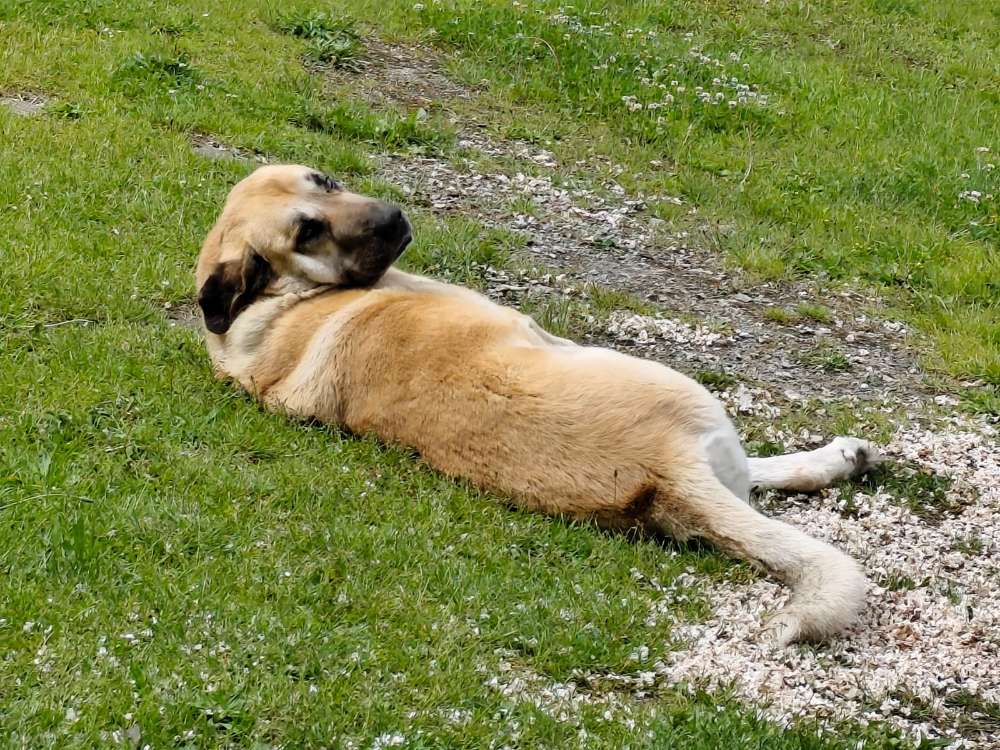 Suchmeldung-Face-Profilbild