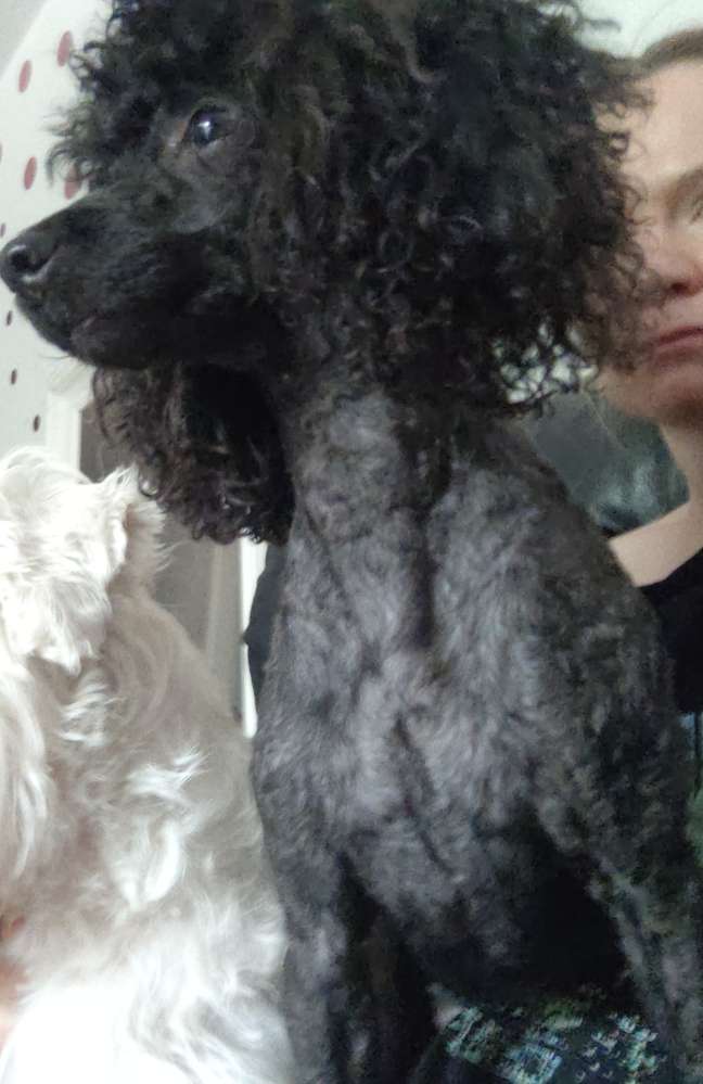 Suchmeldung-Finik-Profilbild