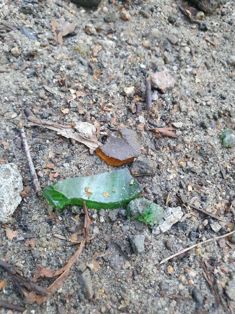 Giftköder-Glasscherben auf dem Weg verteilt-Profilbild