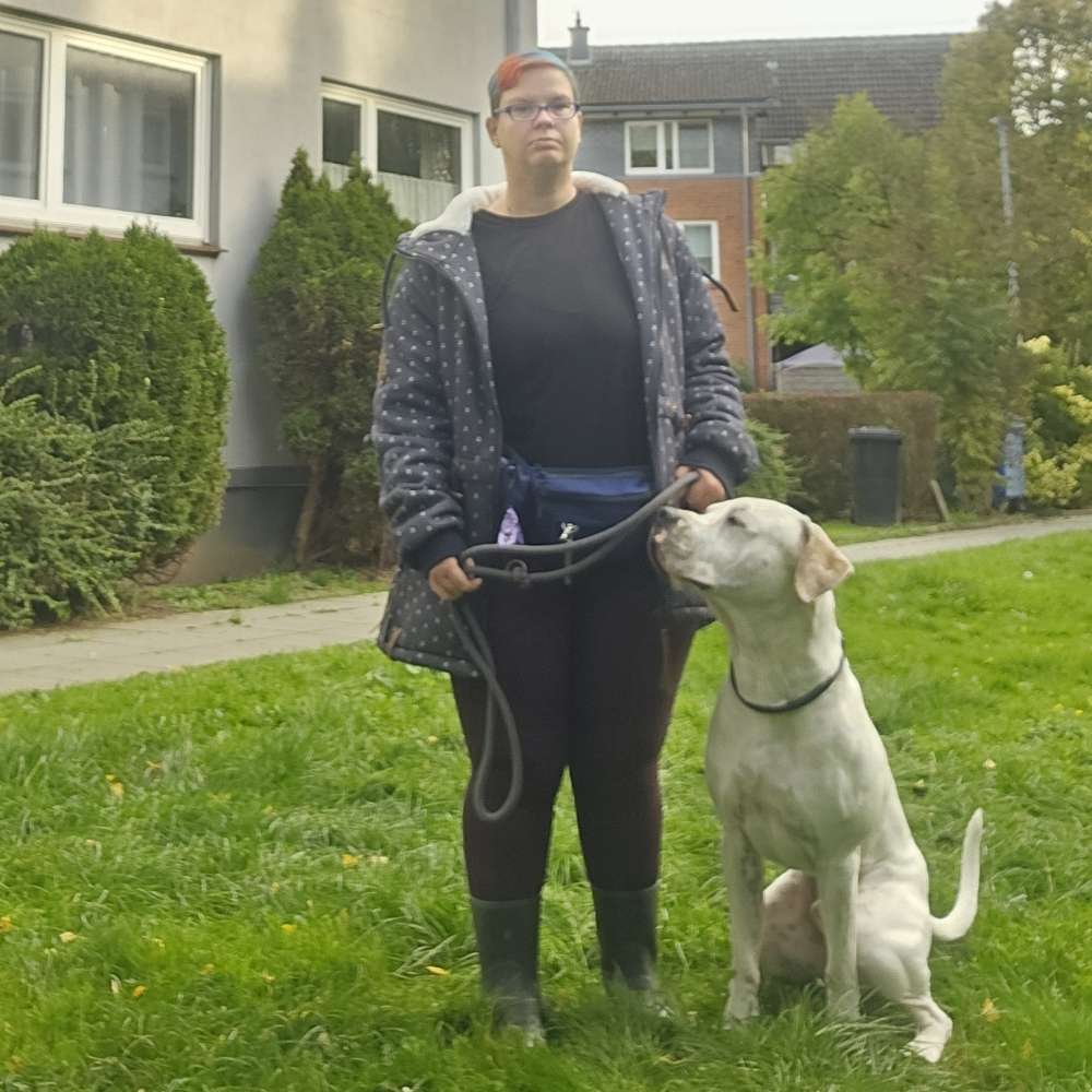 Hundetreffen-Spiel treffen-Profilbild