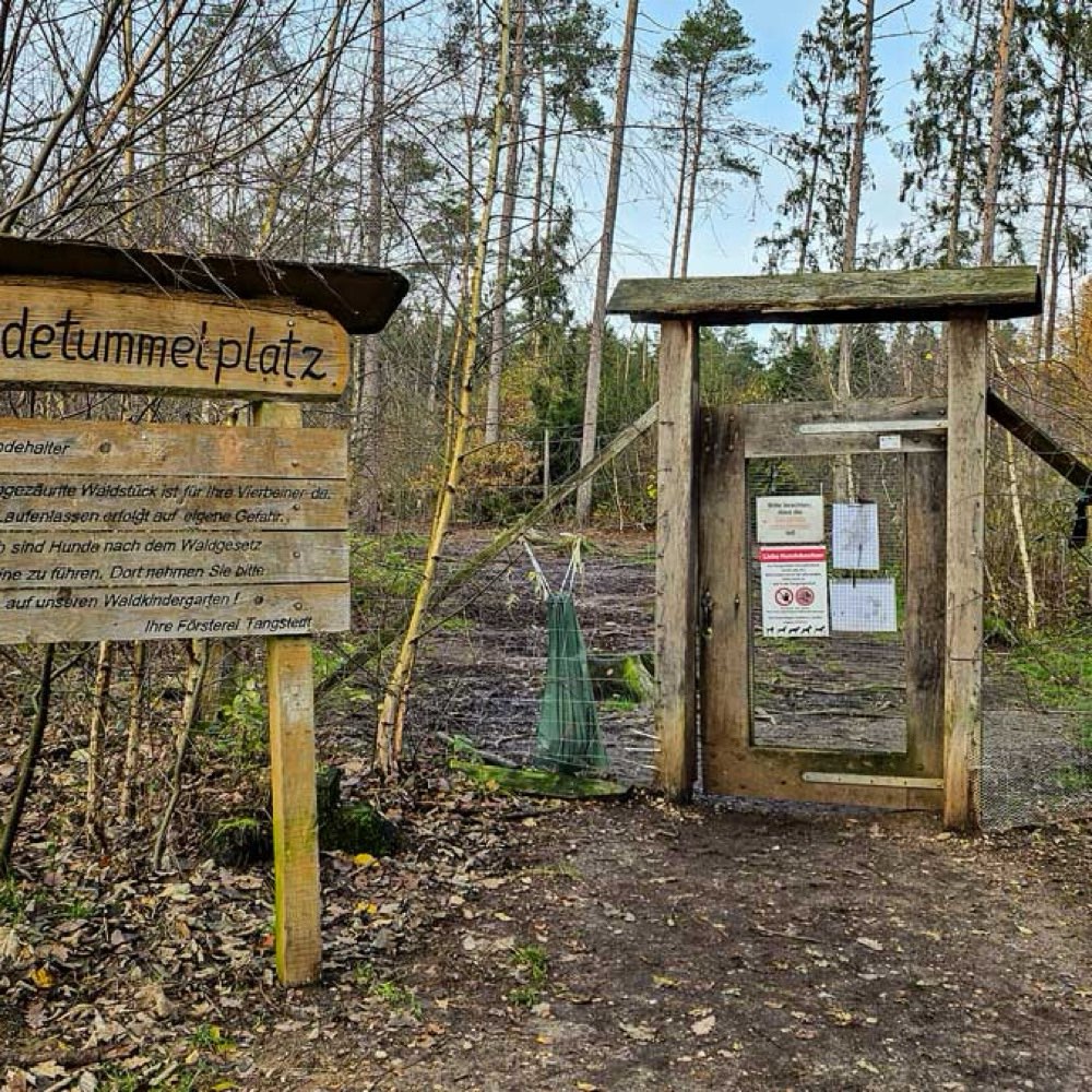 Hundetreffen-Welpentreffen-Profilbild