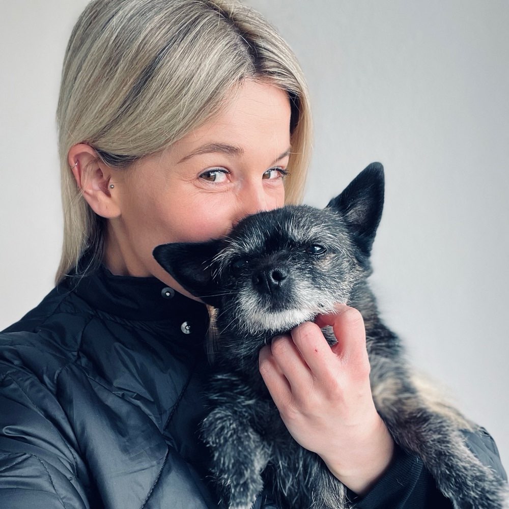 Hundetreffen-Neue Spaziergang Bekanntschaften-Profilbild