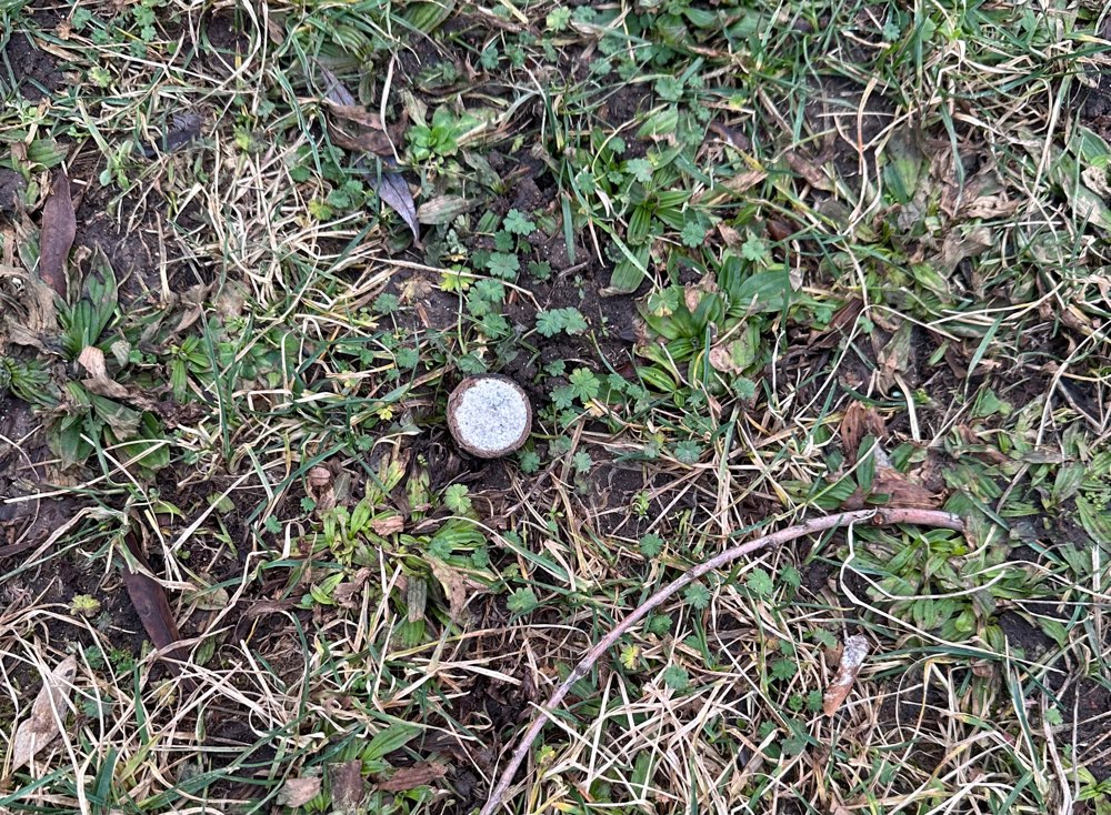 Giftköder-Giftköder-Profilbild