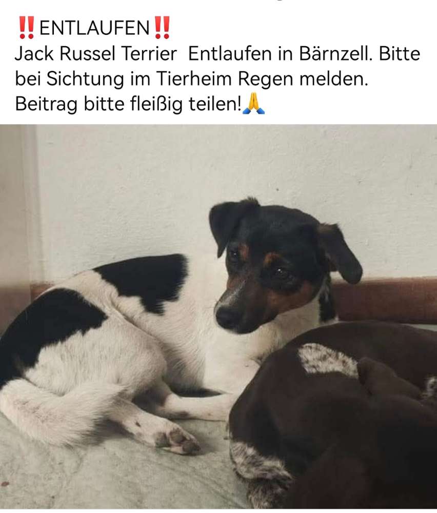 Suchmeldung-Emma-Profilbild