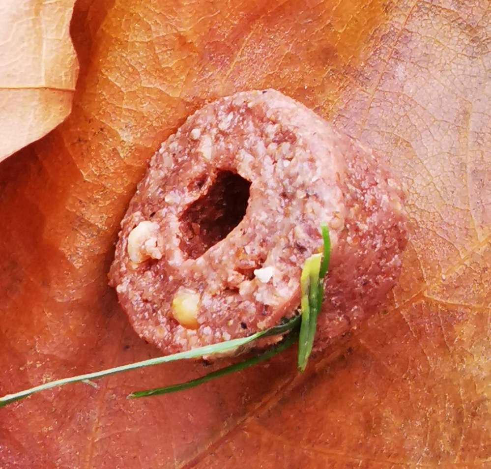 Giftköder-eventueller Giftköder-Profilbild