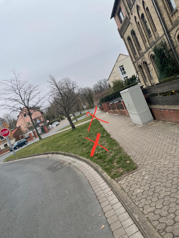 Giftköder-Käsewürfel verteilt-Profilbild