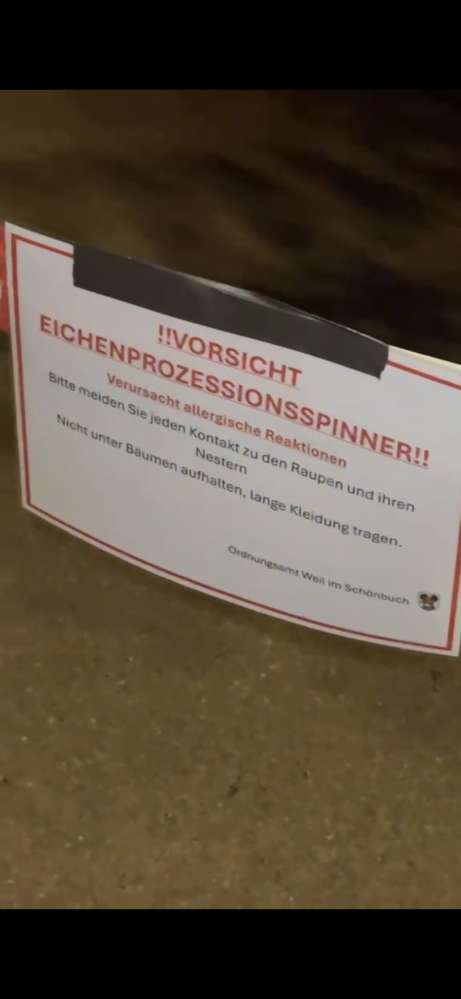 Giftköder-Eichenprozessionsspinner-Profilbild