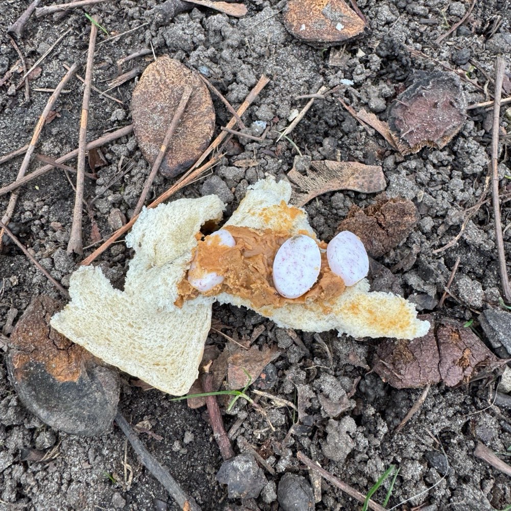 Giftköder-Giftköder?!-Profilbild