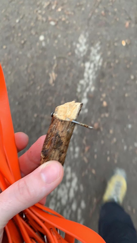 Giftköder-Ast mit Nägeln-Profilbild