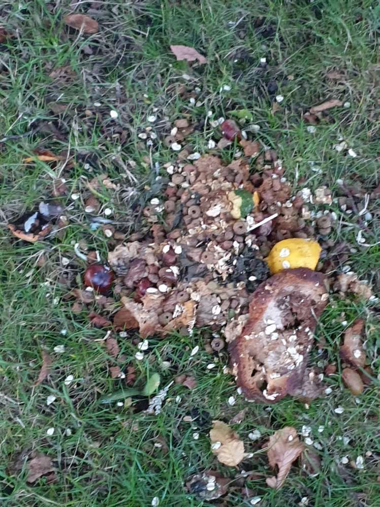 Giftköder-Hundefutter mit Müll-Profilbild