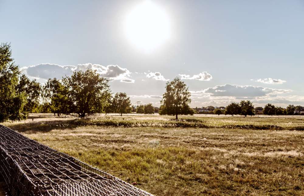 Hundetreffen-Welpentreffen im Landschaftspark-Profilbild
