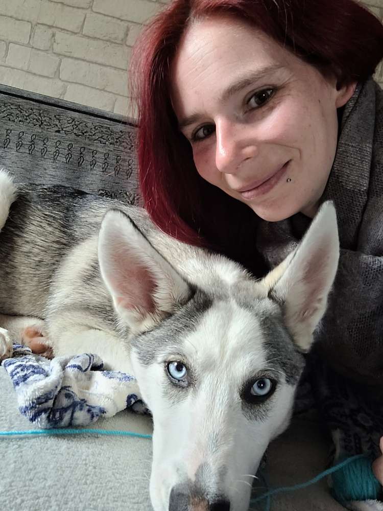 Hundetreffen-Suchen Gassi und Spielgefährten-Profilbild