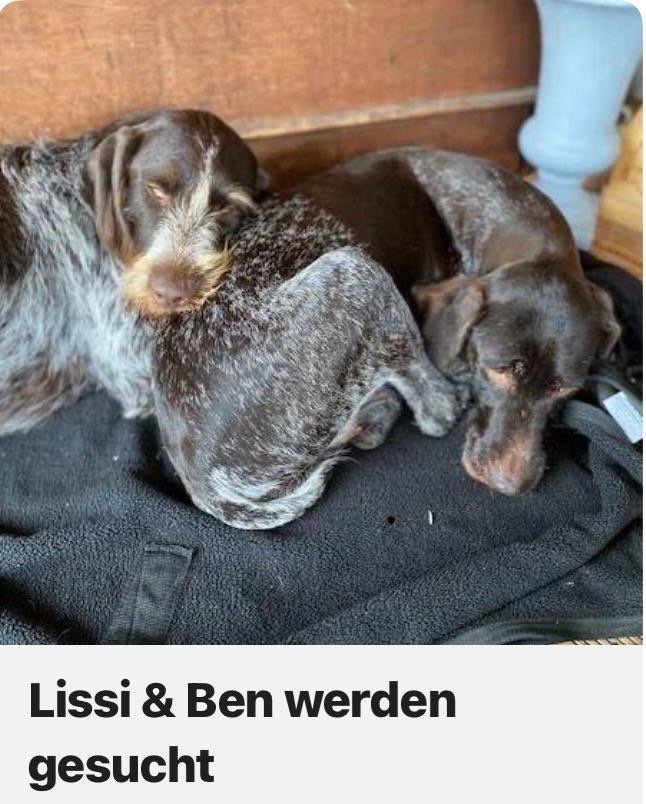 Suchmeldung-Ben und Lissy-Profilbild