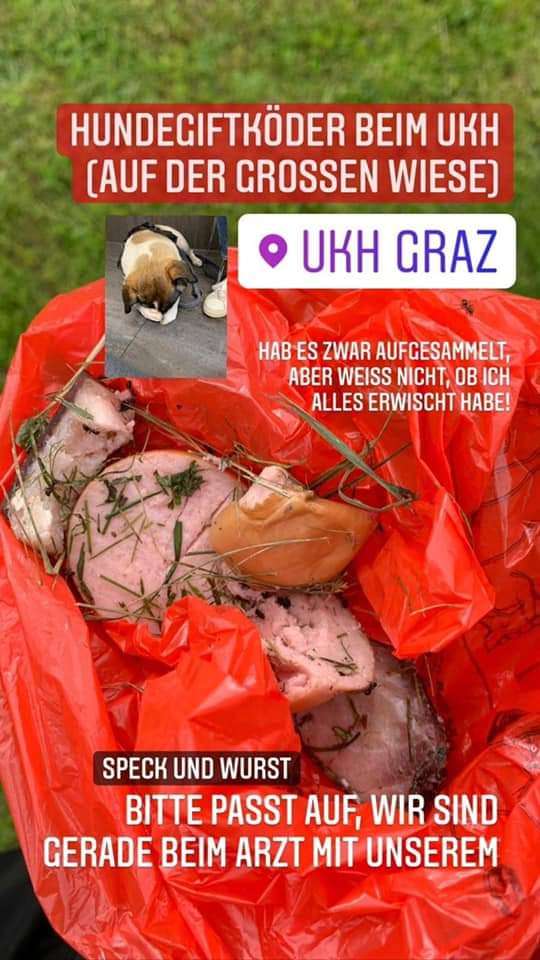 Giftköder-Giftköderfund-Profilbild