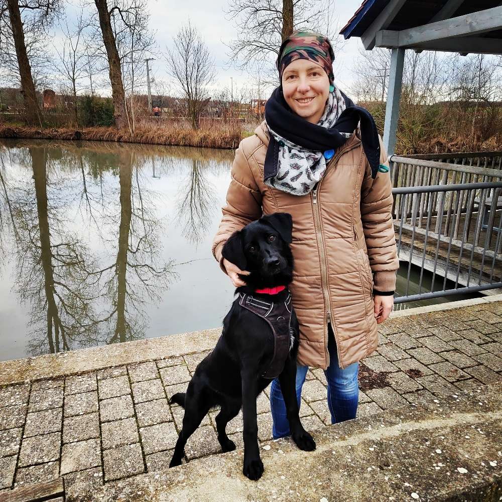 Hundetreffen-Dogscooting-Profilbild