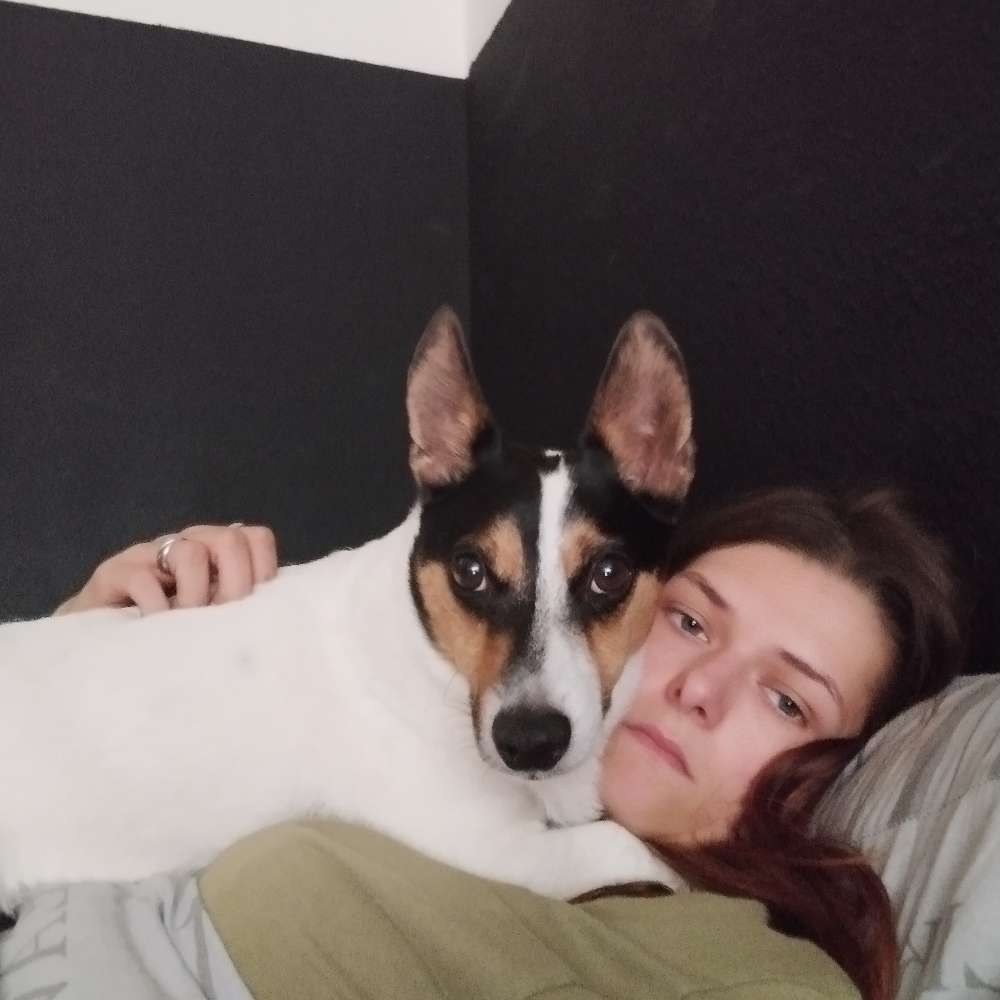 Giftköder-Giftköder-Profilbild