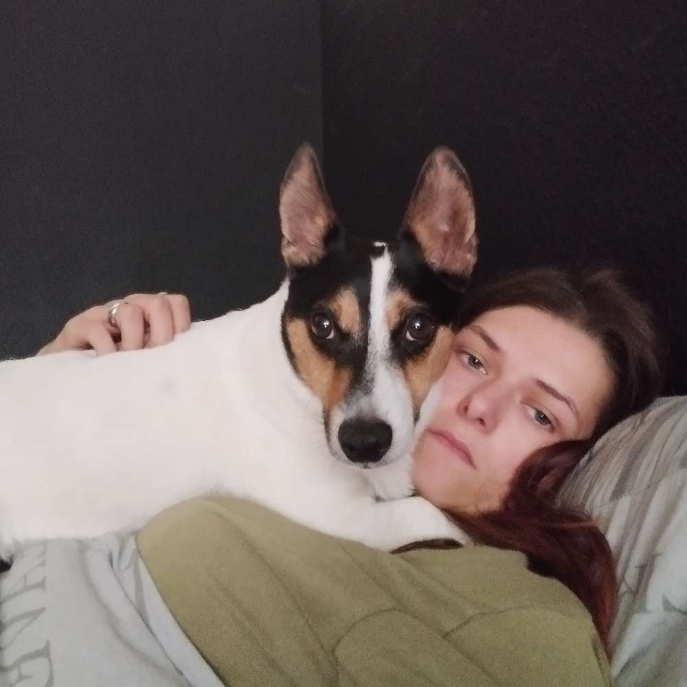 Giftköder-Giftköder-Profilbild