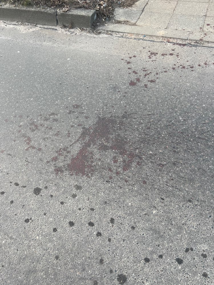 Giftköder-Große Blutmenge-Profilbild