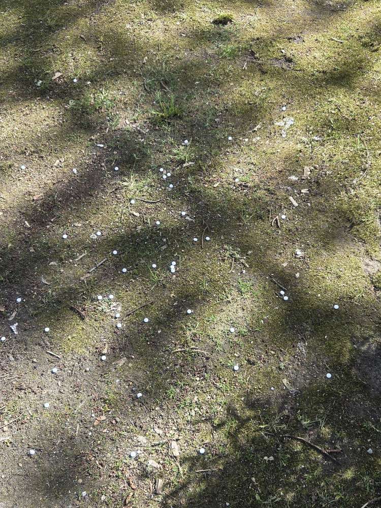 Giftköder-Tabletten-Profilbild