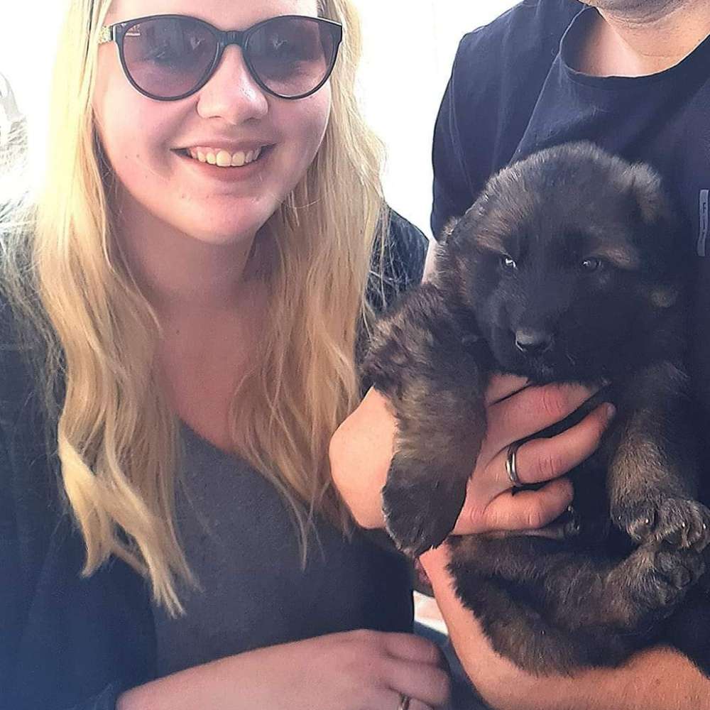 Hundetreffen-freundliches Welpentreffen-Profilbild