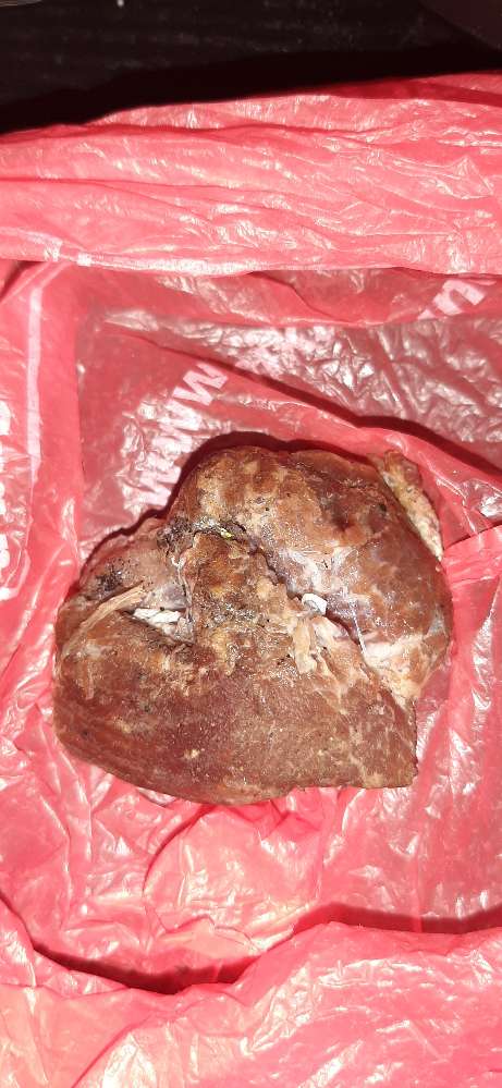 Giftköder-GIFTKÖDER-Profilbild