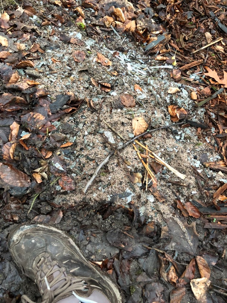 Giftköder-Glasscherben direkt am Waldweg-Profilbild