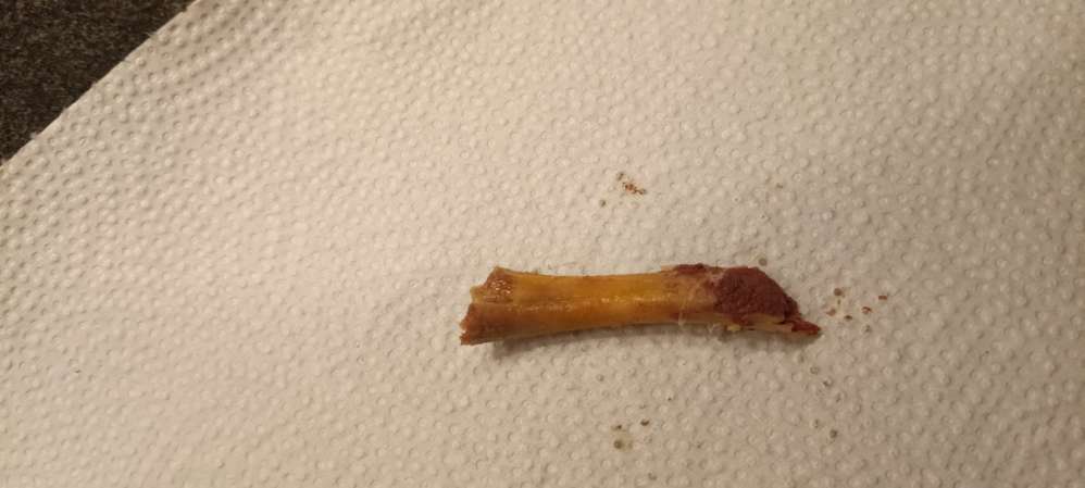 Giftköder-Giftköder-Profilbild