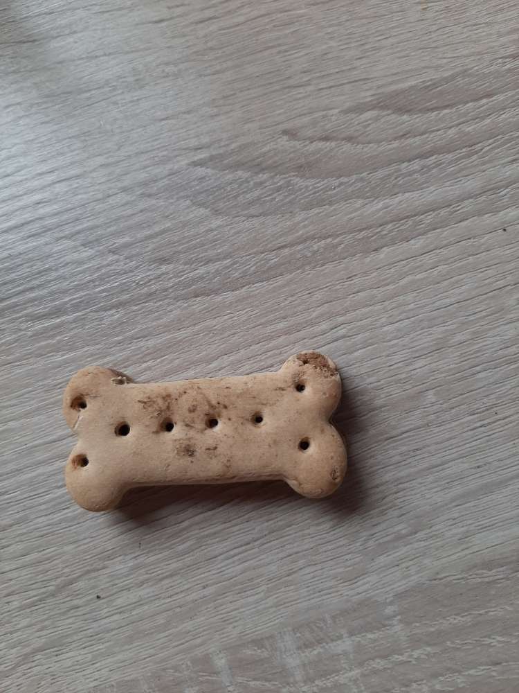 Giftköder-Hundekeks mitten im Garten-Profilbild